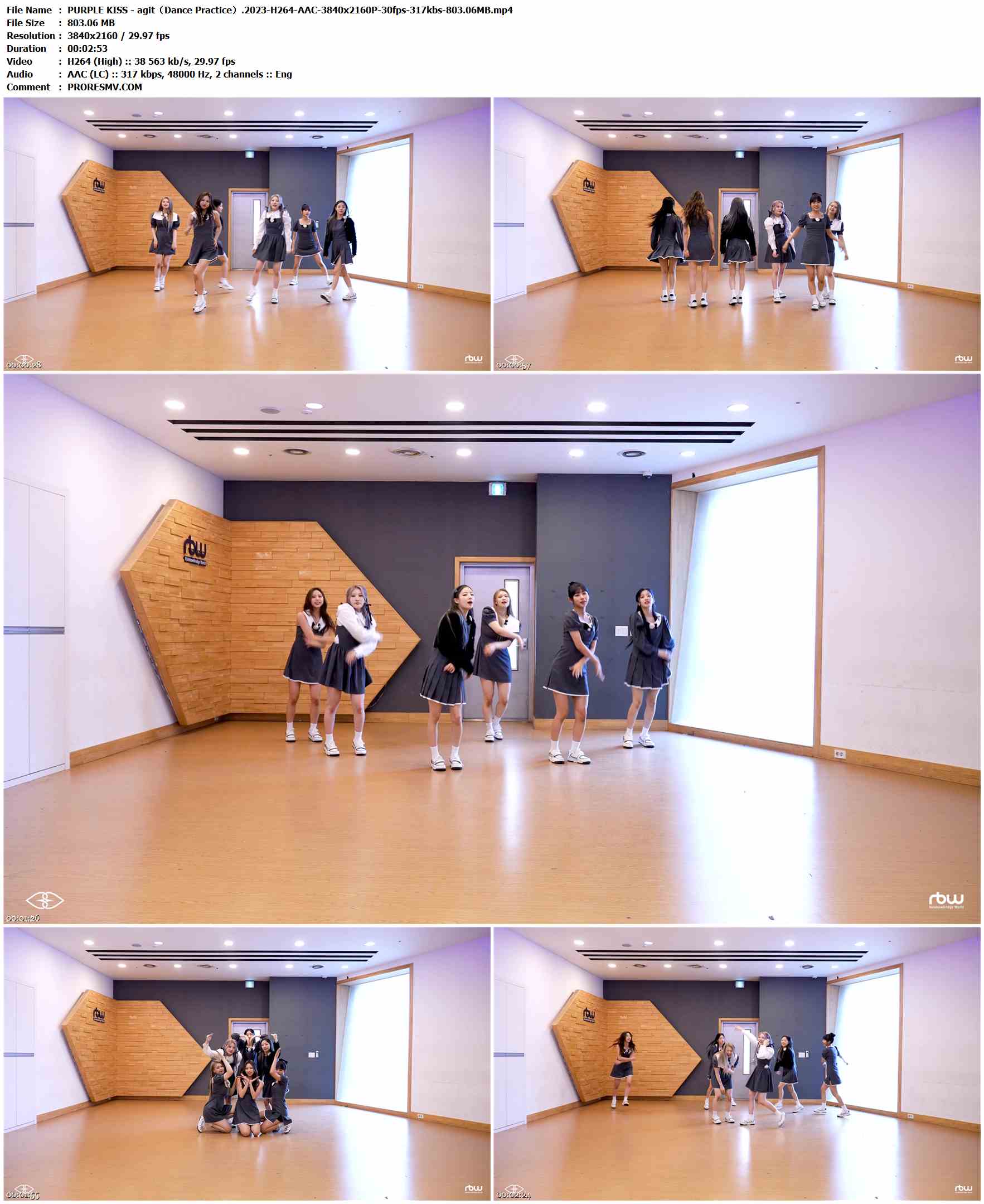 PURPLE KISS - agit（Dance Practice）.2023-H264-AAC-3840x2160P-30fps-317kbs-803.06MB官方MV_高清MV